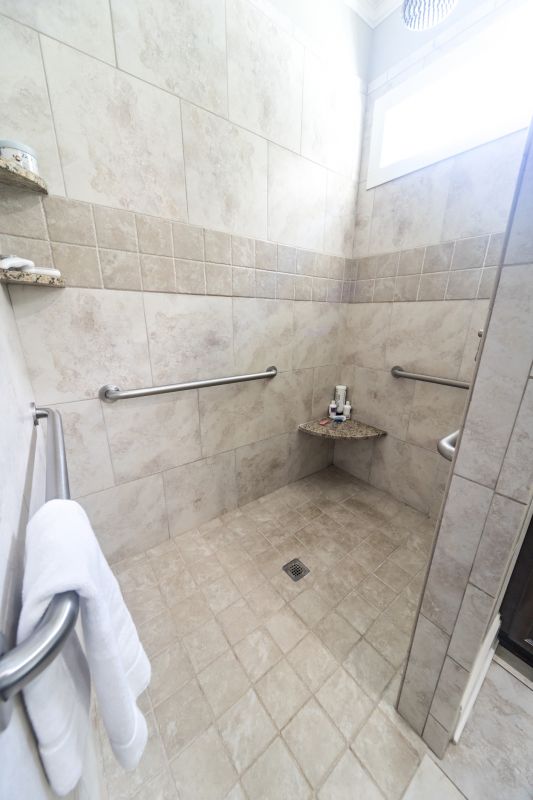 Walk-In Shower Area